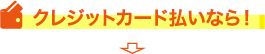 クレジットカード払いなら！